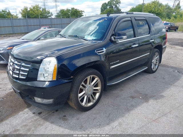 2010 CADILLAC ESCALADE 1GYUKBEF1AR289983 Photo 1
