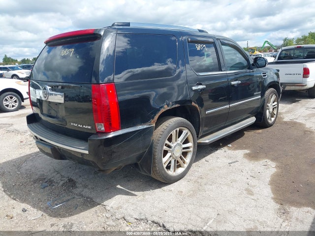 2010 CADILLAC ESCALADE 1GYUKBEF1AR289983 Photo 3