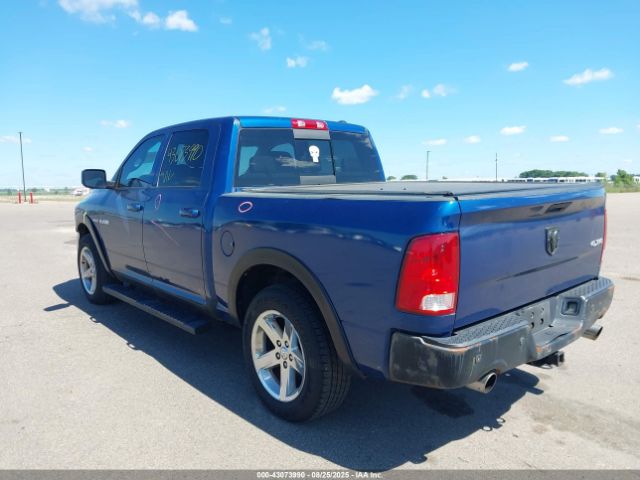 2009 DODGE RAM 1500 1D3HV13T59S792459 Photo 2
