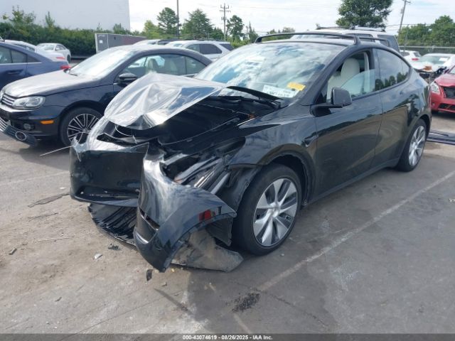 2023 TESLA MODEL Y 7SAYGAEE4PF961191 Photo 1