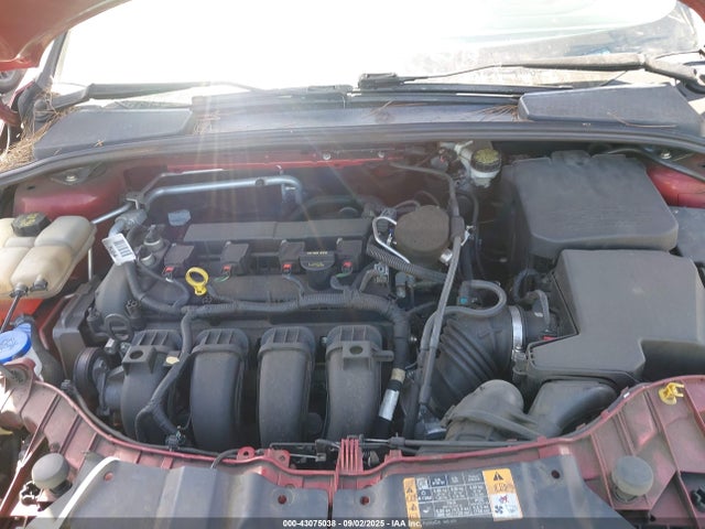 1FADP3K25EL281494 Ford Focus