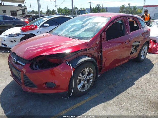 1FADP3K25EL281494 Ford Focus