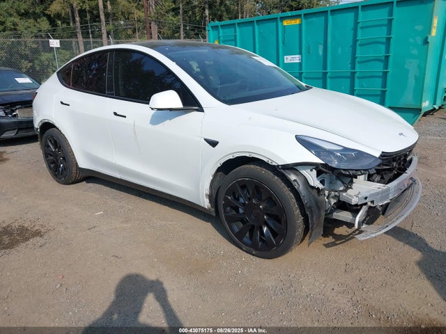 2020 TESLA MODEL Y 5YJYGDEE2LF059275 Photo 0