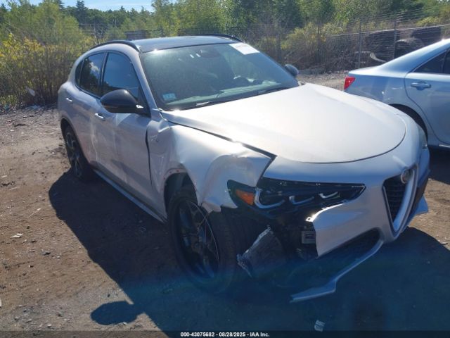 2024 ALFA ROMEO STELVIO ZASPAKBN5R7D82103
