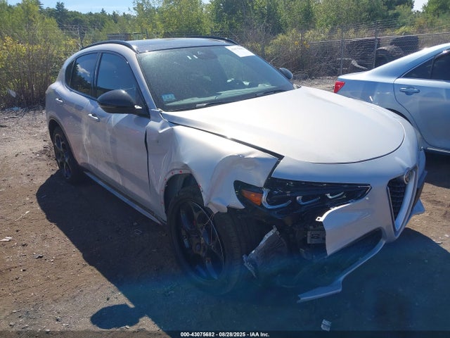 Alfa Romeo Stelvio 2024 ZASPAKBN5R7D82103 Image 13