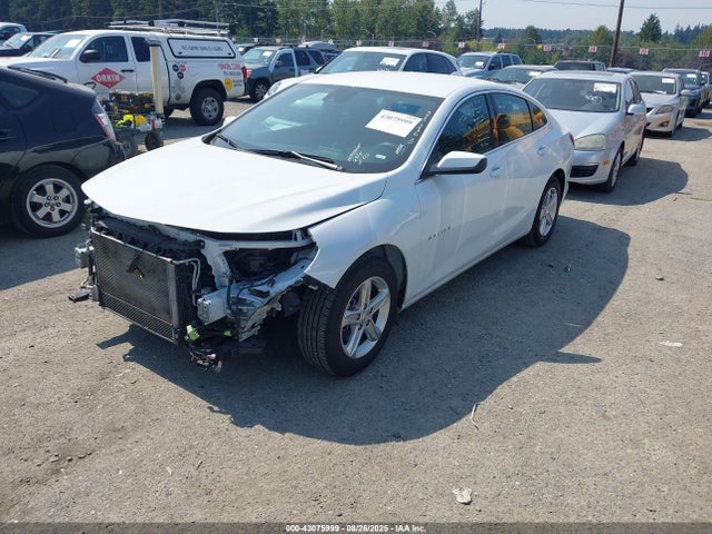 1G1ZD5ST0PF239595 Chevrolet lfv