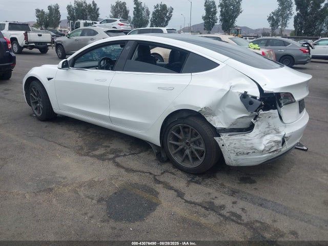 2019 TESLA MODEL 3 5YJ3E1EA2KF427352 Photo 2
