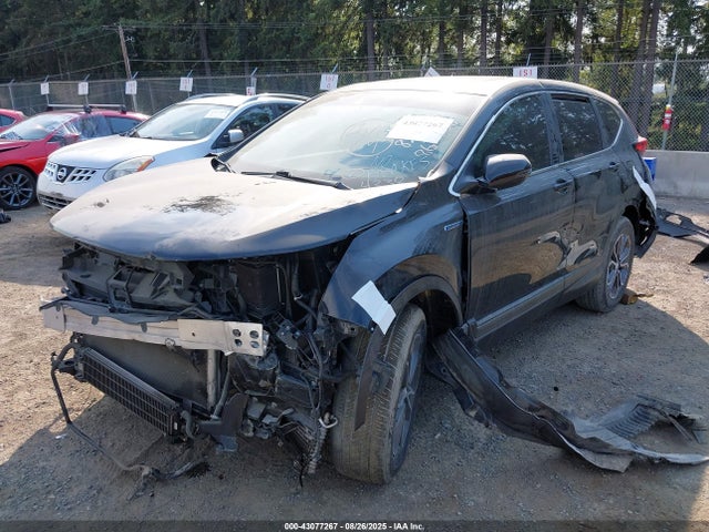 Honda lfb2 2022 5J6RT6H86NL004338 Image 2