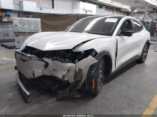 Ford Mustang Mach-E 2021 3FMTK3RM2MMA55594 Image 2