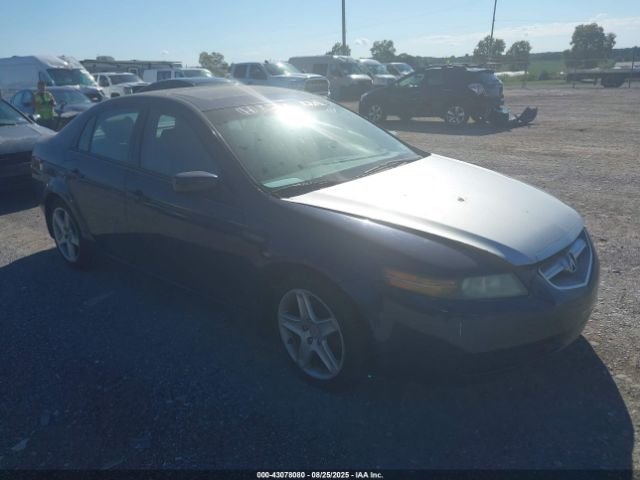 2004 ACURA TL 19UUA66234A022442