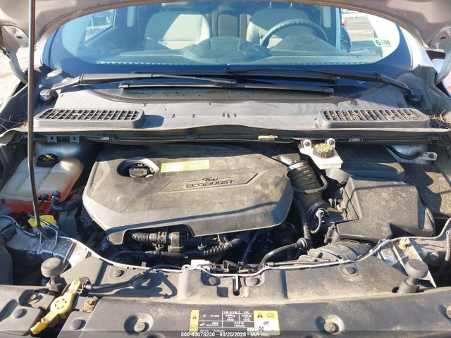Ford Escape 2014 1FMCU0GX2EUD02390 Image 10