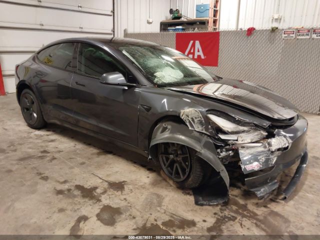 2023 TESLA MODEL 3 5YJ3E1EA8PF644377 Photo 0