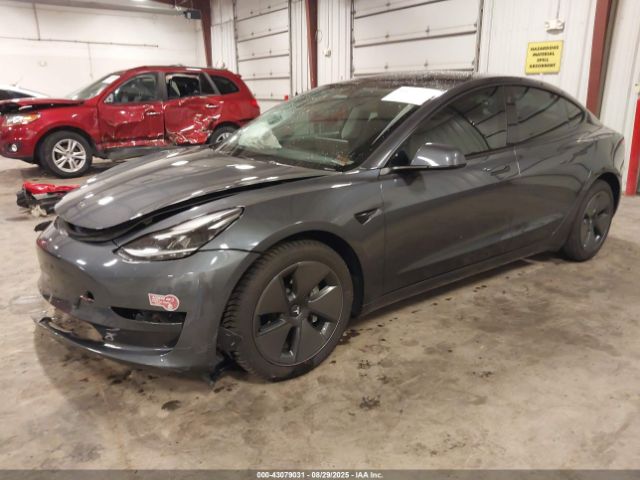 2023 TESLA MODEL 3 5YJ3E1EA8PF644377 Photo 1