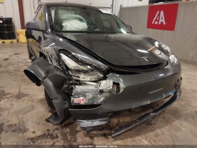 2023 TESLA MODEL 3 5YJ3E1EA8PF644377 Photo 5