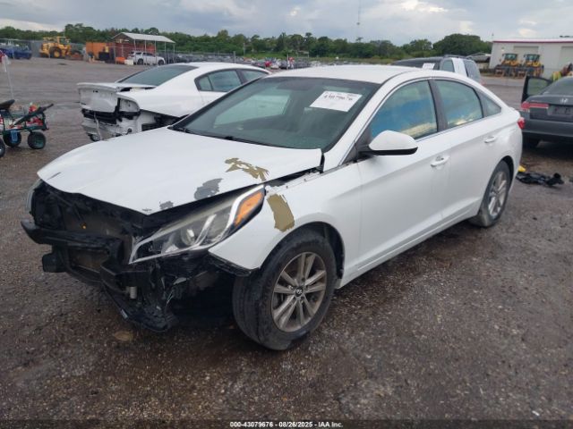 2017 HYUNDAI SONATA 5NPE24AFXHH557992 Photo 1