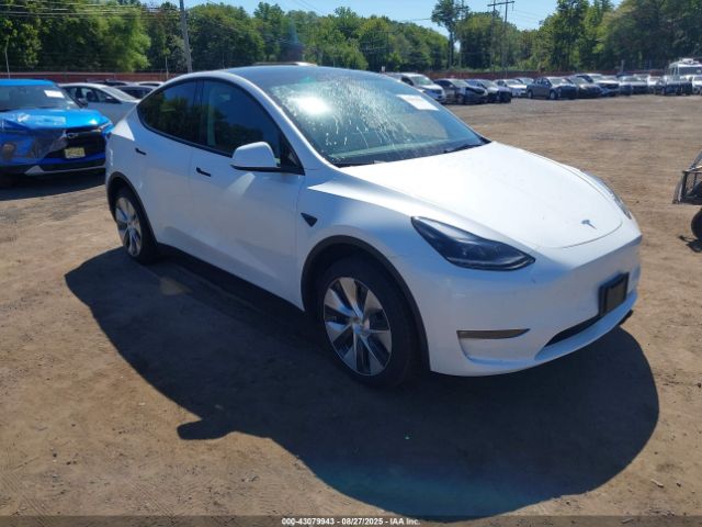 2023 TESLA MODEL Y 7SAYGDEE3PF798535 Photo 0