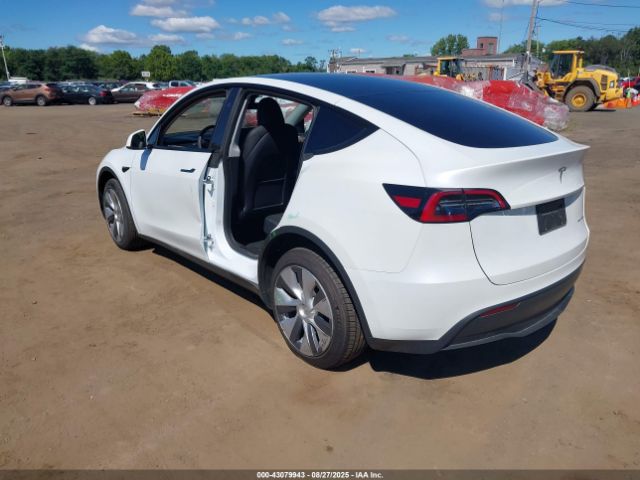 2023 TESLA MODEL Y 7SAYGDEE3PF798535 Photo 2