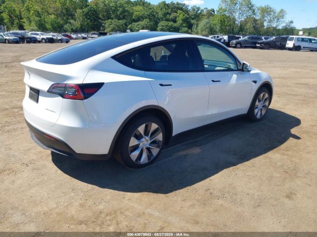 2023 TESLA MODEL Y 7SAYGDEE3PF798535 Photo 3