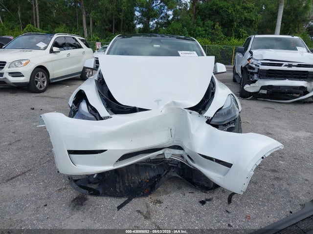 7SAYGDEE1SF221625 Tesla 2025
