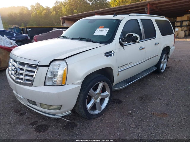 2007 CADILLAC ESCALADE ESV 1GYFK66827R254524 Photo 1