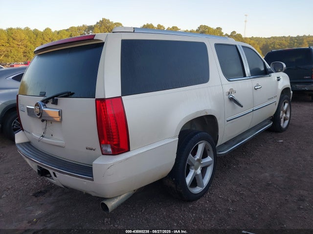 2007 CADILLAC ESCALADE ESV 1GYFK66827R254524 Photo 3