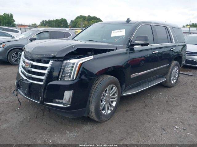 2016 CADILLAC ESCALADE 1GYS4AKJ8GR317209 Photo 1