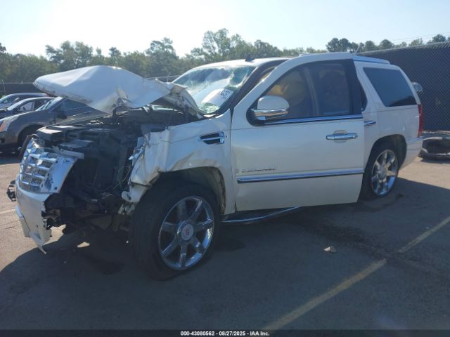 2007 CADILLAC ESCALADE 1GYFK63837R340641 Photo 1
