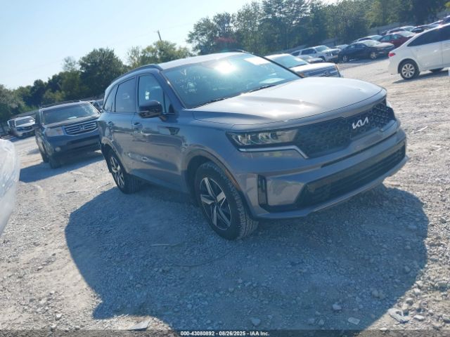 2023 KIA SORENTO 5XYRL4LC9PG209799
