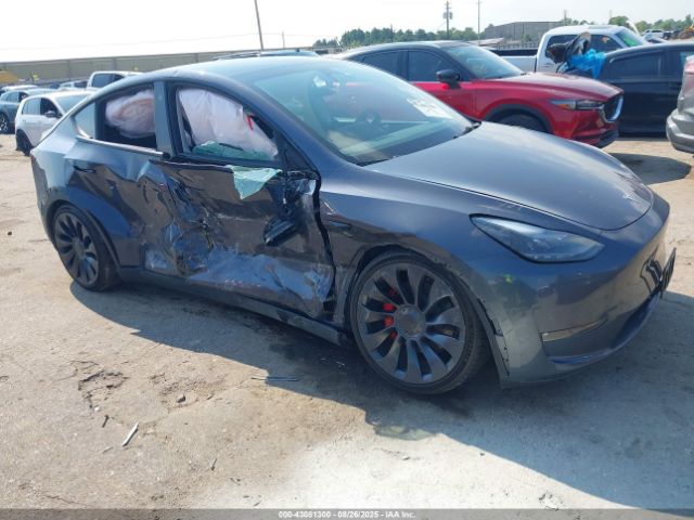 2023 TESLA MODEL Y 7SAYGDEFXPF711562