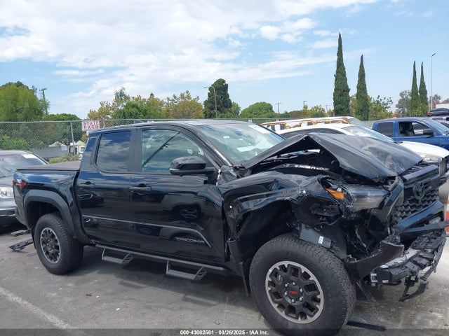 Toyota t24a-fts 2024 3TMLB5JN7RM049365 Image 12