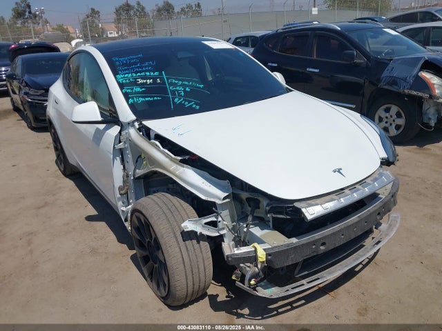 2024 TESLA MODEL Y 7SAYGDEE0RF066186 Photo 0