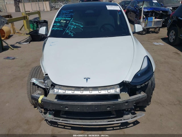 7SAYGDEE0RF066186 Tesla 2024