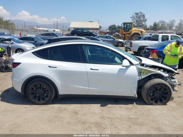 7SAYGDEE0RF066186 Tesla 2024