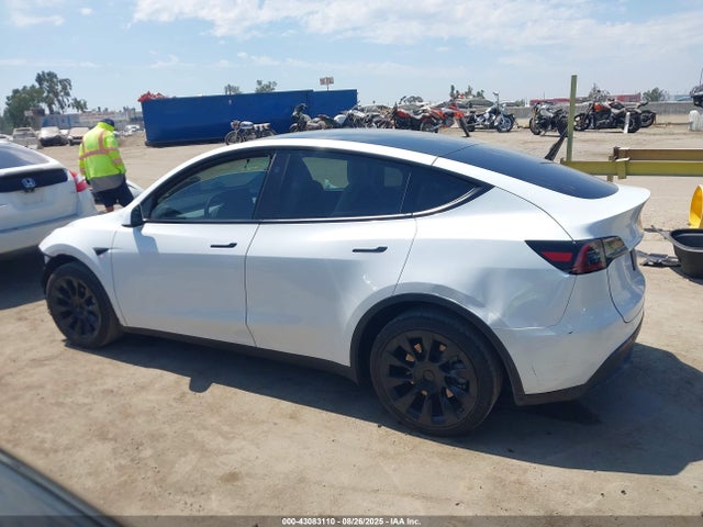 7SAYGDEE0RF066186 Tesla 2024