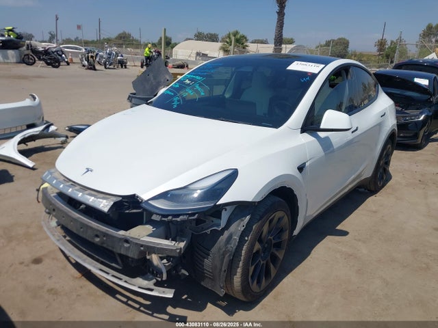 2024 TESLA MODEL Y 7SAYGDEE0RF066186 Photo 1