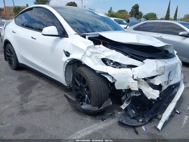 2023 TESLA MODEL Y 7SAYGDEE7PA124885 Photo 0