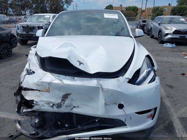 7SAYGDEE7PA124885 Tesla 2023