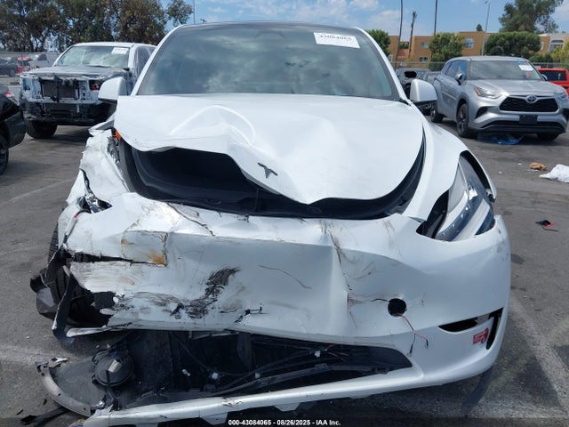 2023 TESLA MODEL Y 7SAYGDEE7PA124885 Photo 5