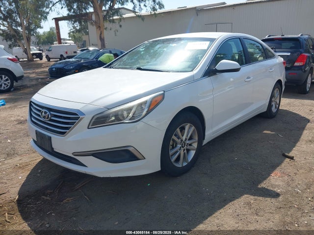 5NPE24AF3HH470239 Hyundai 2017