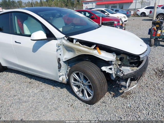 2023 TESLA MODEL Y 7SAYGAEE3PF788778 Photo 5