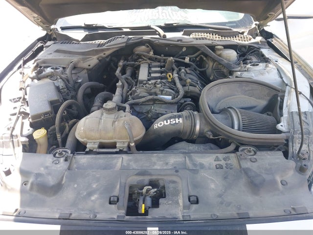 1FATP8UH9K5158789 Ford 4v