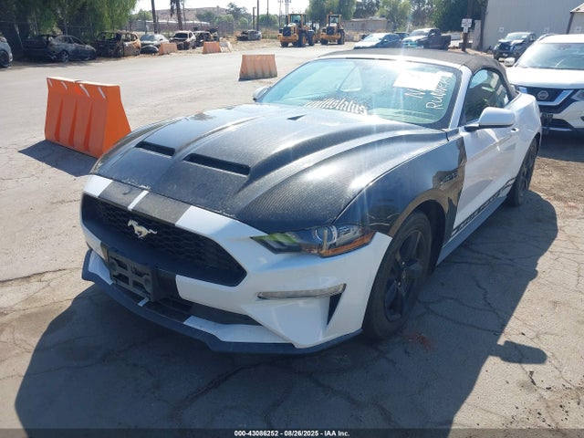 1FATP8UH9K5158789 Ford 4v