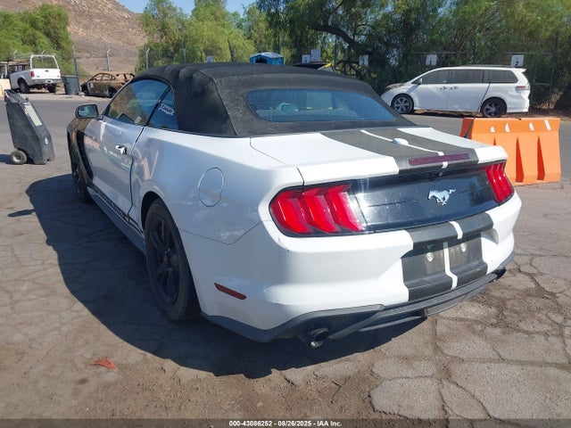 1FATP8UH9K5158789 Ford 4v