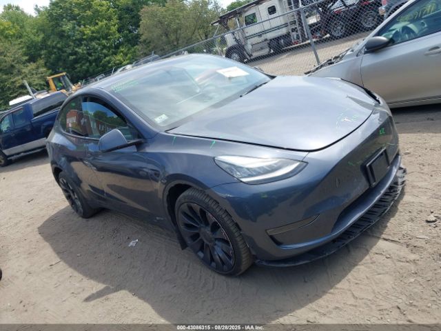 2023 TESLA MODEL Y 7SAYGDEE0PA056378 Photo 0