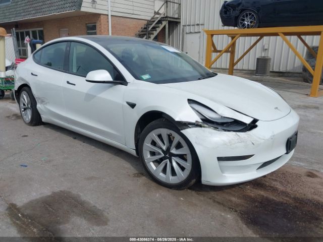 2023 TESLA MODEL 3 5YJ3E1EA6PF548439 Photo 0