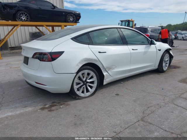 2023 TESLA MODEL 3 5YJ3E1EA6PF548439 Photo 3