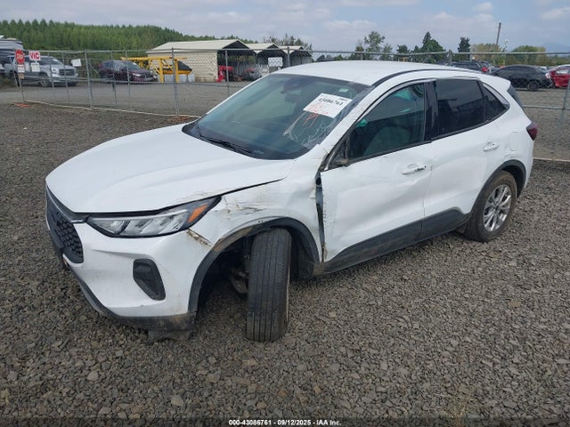 Ford Escape Active 2023 1FMCU0GN0PUA81597 Image 2