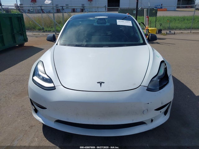 Tesla 2020 2020 5YJ3E1EC4LF641391 Image 12