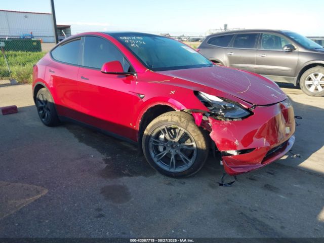 2025 TESLA MODEL Y 7SAYGDEEXSF265753 Photo 0