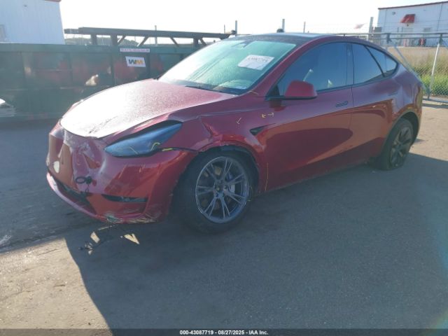 2025 TESLA MODEL Y 7SAYGDEEXSF265753 Photo 1